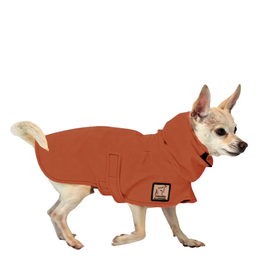 Chihuahua Raincoat