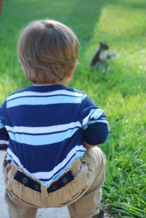 Dapper Snappers Adjustable Toddler Belts