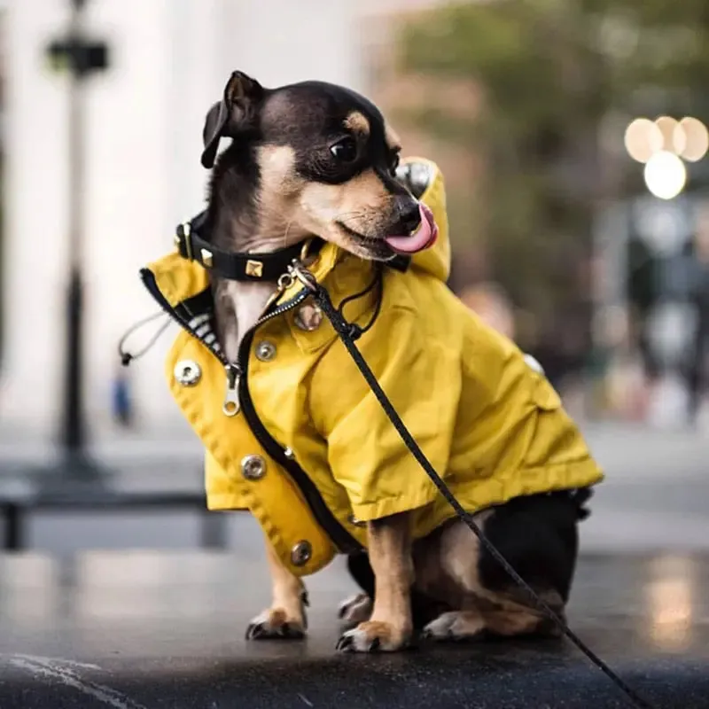 Dog Raincoat w/ Hood Type B - Dog & Cat Apparel