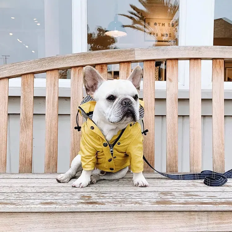 Dog Raincoat w/ Hood Type B - Dog & Cat Apparel