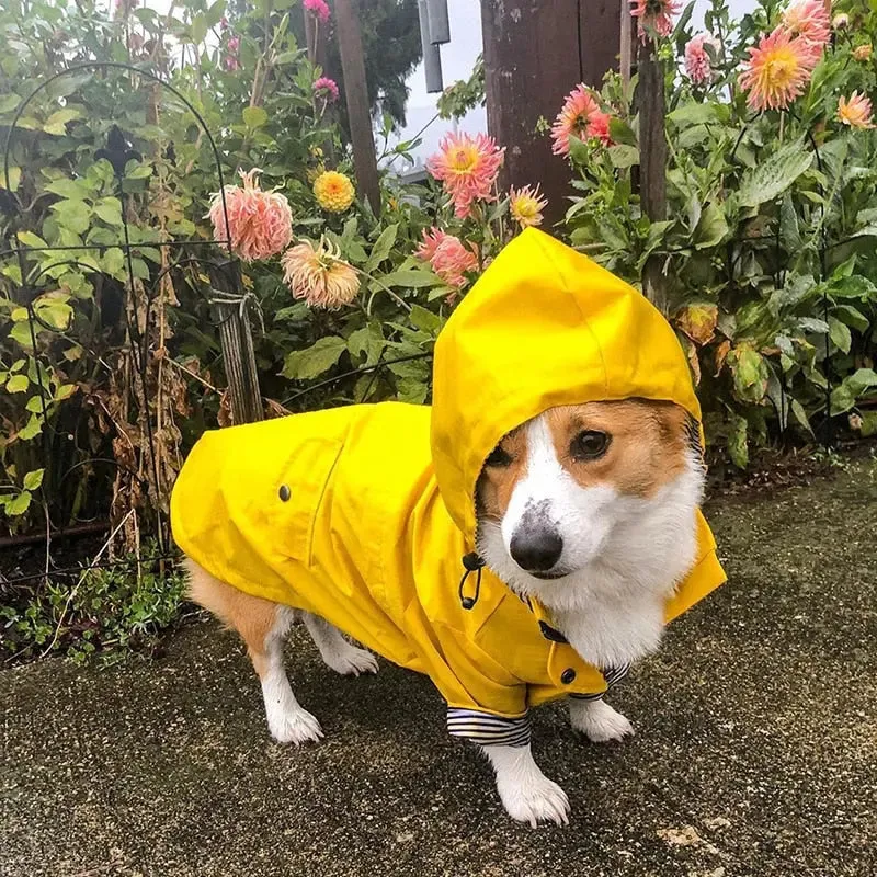 Dog Raincoat w/ Hood Type B - Dog & Cat Apparel