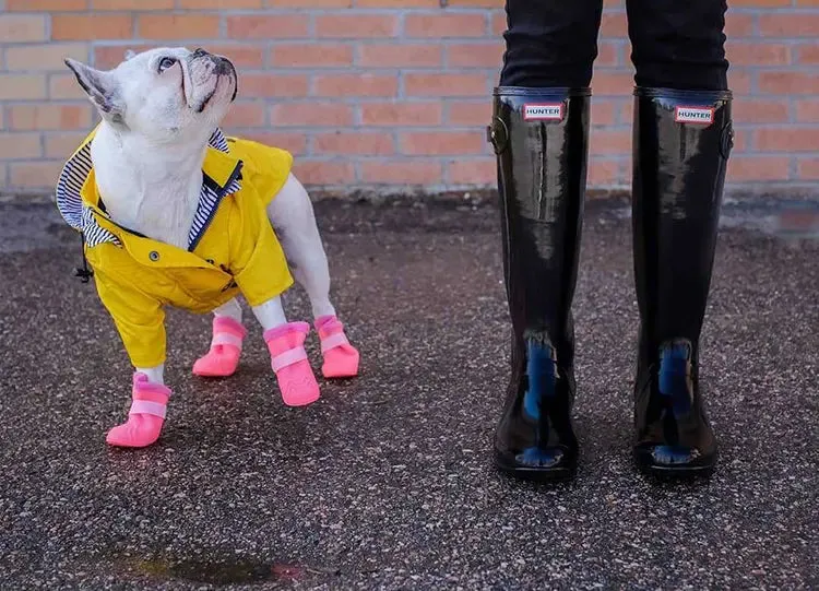 Dog Raincoat w/ Hood Type B - Dog & Cat Apparel