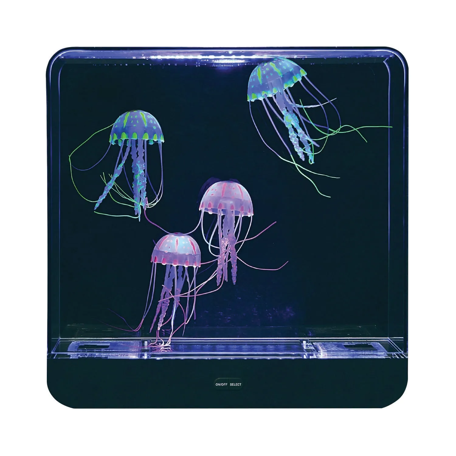 Giant Jelly Fish Tank - Square   Adaptor