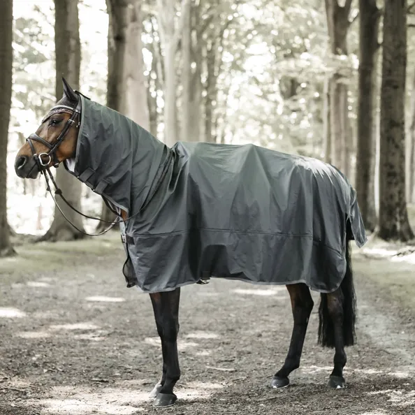 Hurricane Horse Raincoat