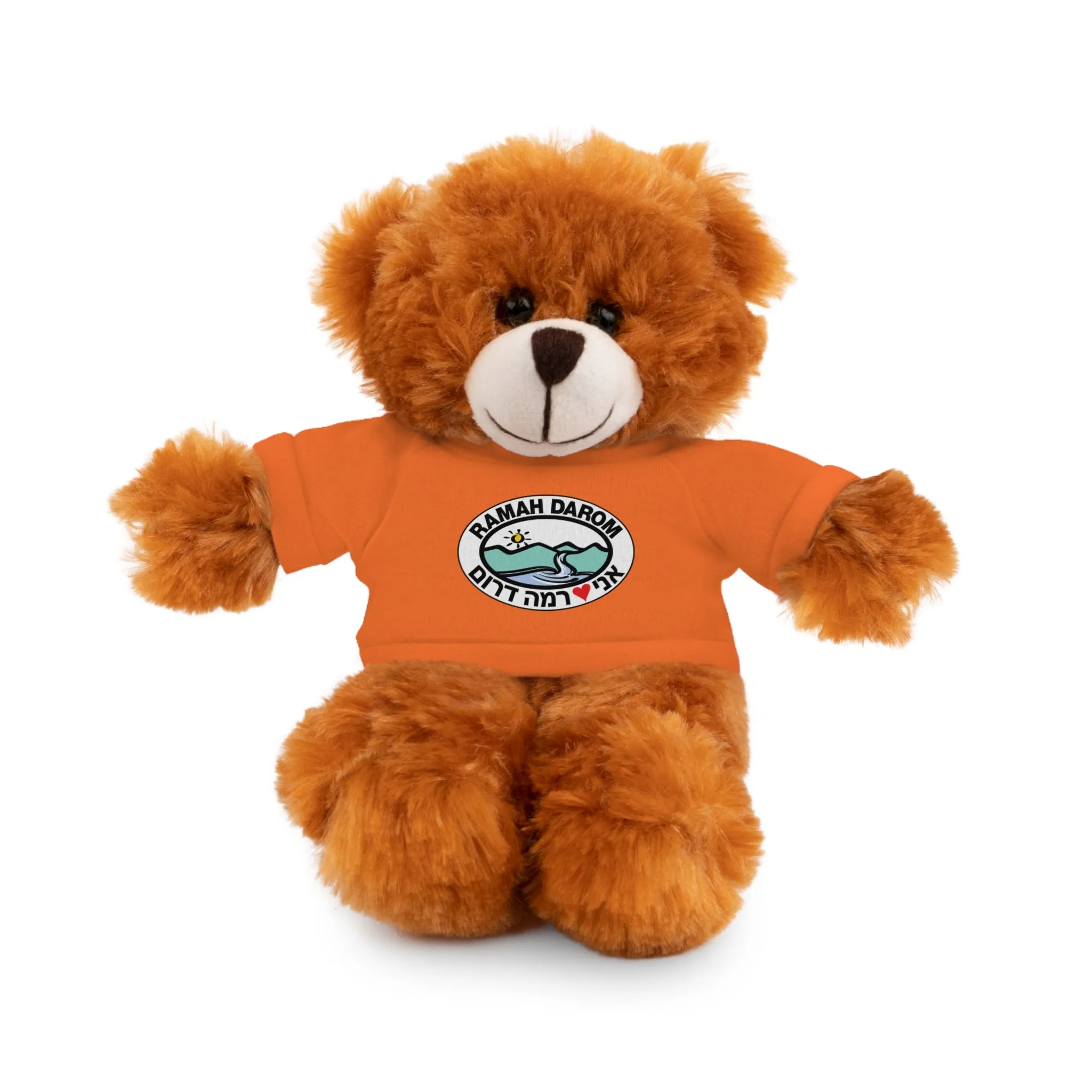 Ramah Darom Stuffed Bear - Classic Heart