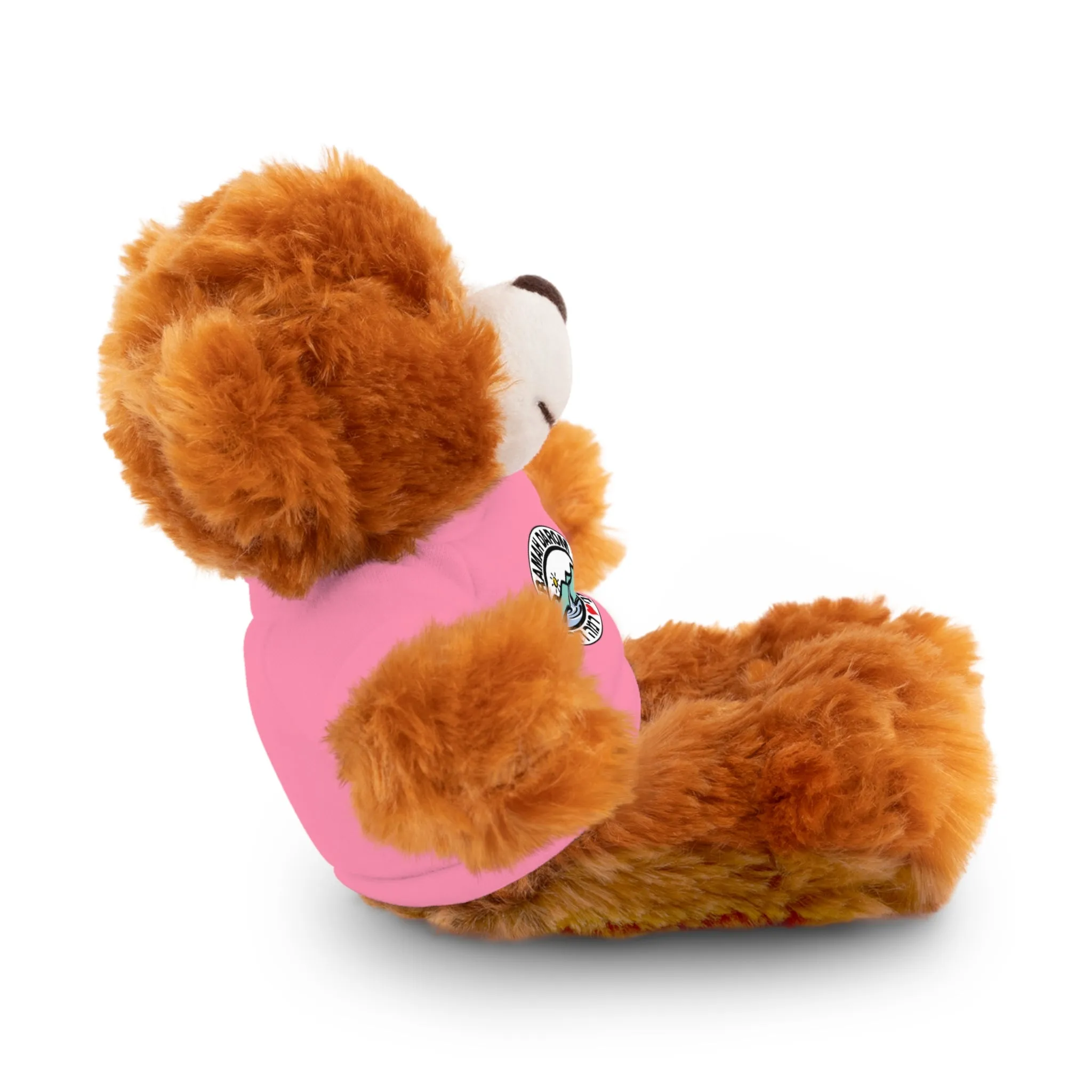 Ramah Darom Stuffed Bear - Classic Heart