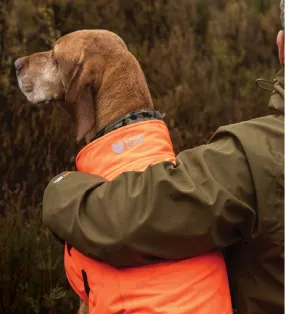 Stoney Creek Waterproof Dog Coat - Orange