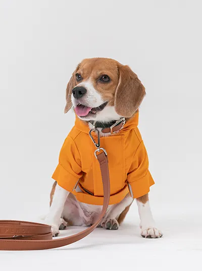 Tribeca adjustable velcro raincoat - Egg Yolk